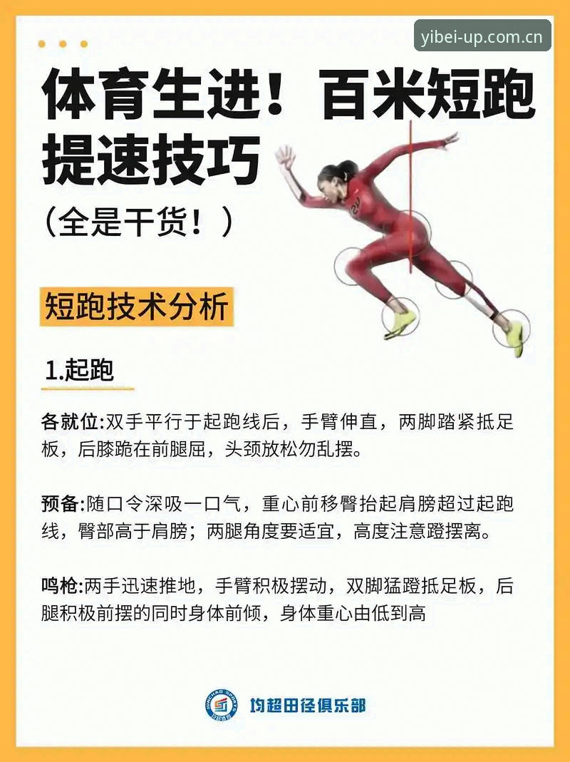 易倍体育官网新版上线，这些实用技巧让你快速上手